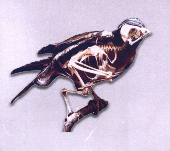 1970s Film Stock : Birds (CD, Album)