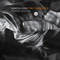 Jungsu Choi : Tiny Orkester - Tschüss Jazz Era (CD, Album)