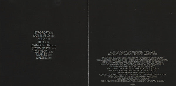 J. Peter Schwalm : How We Fall (CD, Album, Dig)