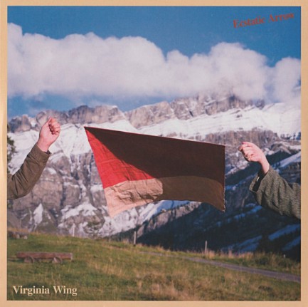 Virginia Wing : Ecstatic Arrow (CD, Album)
