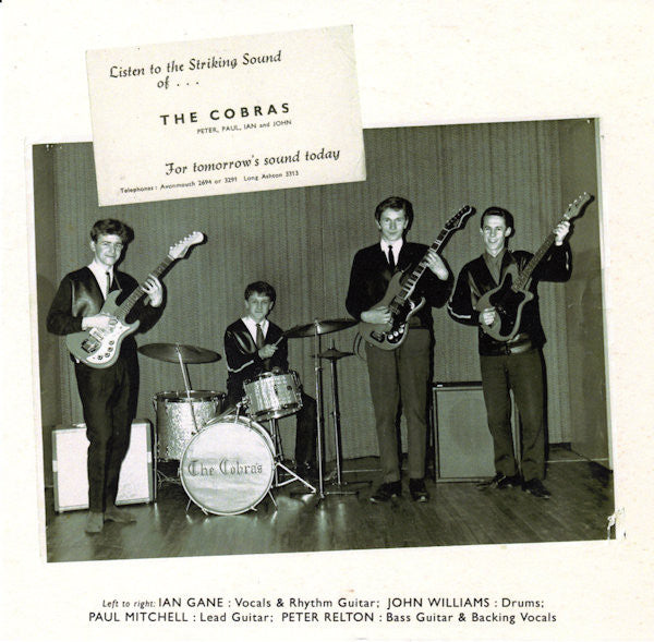 The Cobras (12) : The Striking Sound Of the Cobras! (CD, Album)