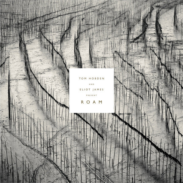 Tom Hobden And Eliot James : Roam (CD, Album)