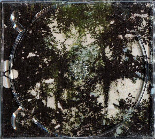 Our Sleepless Forest : Our Sleepless Forest (CD, Album)
