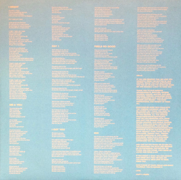 Honne : Love Me / Love Me Not (2xLP, Album)