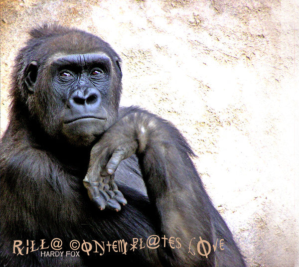 Hardy Fox : Rilla Contemplates Love (CD, Album)