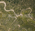 Estuary Blacks : Estuary Blacks (CD, Album, Ltd)