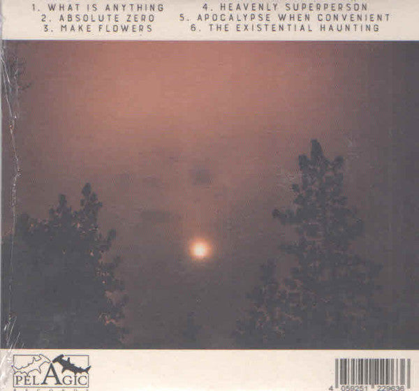 Future Usses : The Existential Haunting (CD, Album)