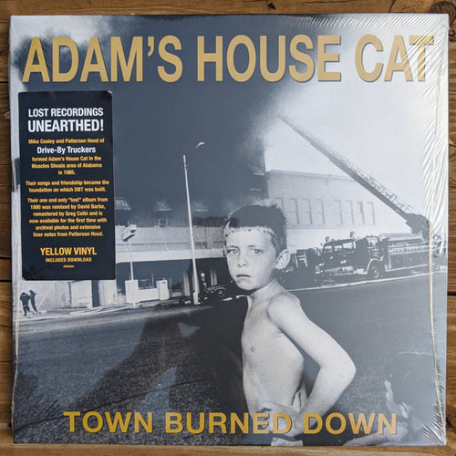 Adam's House Cat : Town Burned Down (LP, Tra)