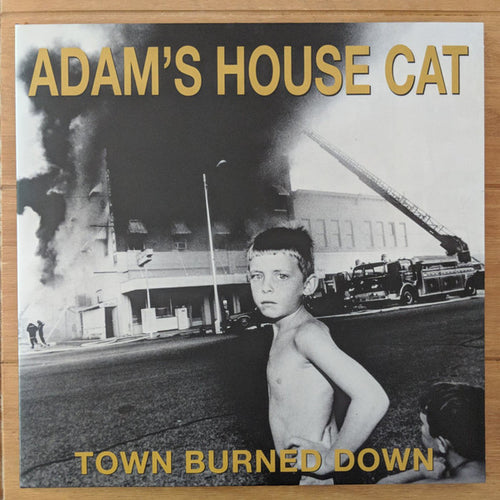 Adam's House Cat : Town Burned Down (LP, Tra)