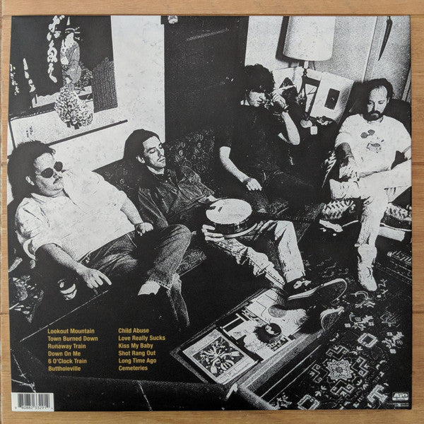 Adam's House Cat : Town Burned Down (LP, Tra)