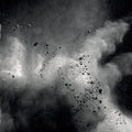 J. Peter Schwalm : How We Fall (2x12", Album)
