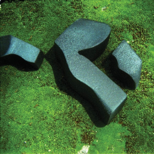 Camila Fuchs : Heart Pressed Between Stones (CD, Album)
