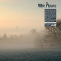 Wilde Flowers : The Wilde Flowers (LP, Album, RE, RM, 180)