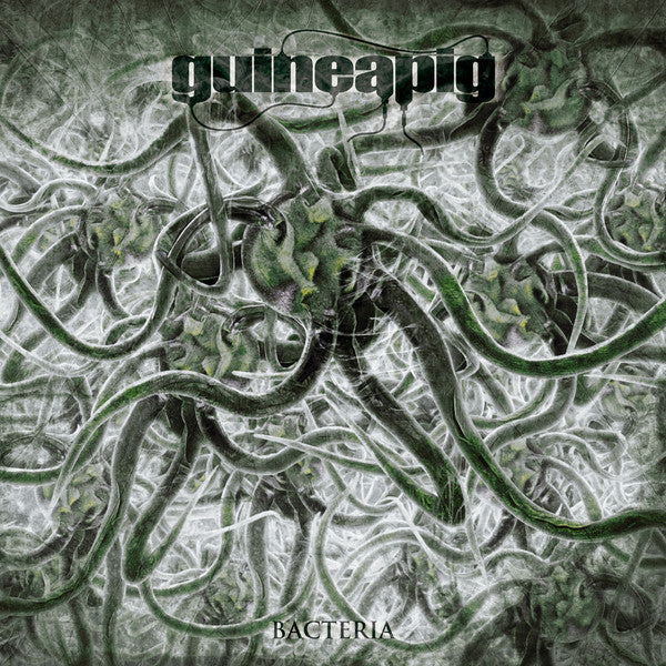 Guineapig (2) : Bacteria (LP, Album, RE, RM, Pla)