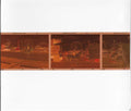 Carson McHone : Carousel (CDr, Album)