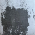 Diaster : Clustered Non Symmetry (LP, Album)
