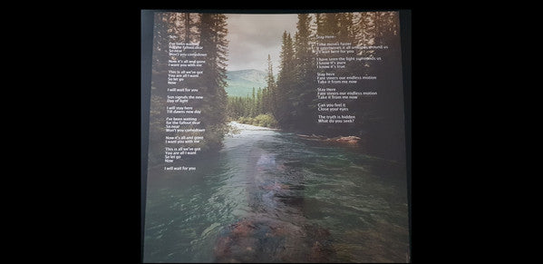 Sarah Longfield : Disparity (LP, Album, Ltd, Vio)