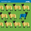 Various : Pastures New (CD, Comp)