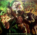 Sectesy : In The Secretion Of Upcoming Days (LP, Album)