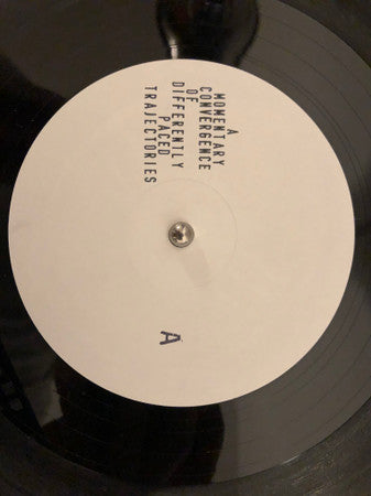Maurizio Ravalico : A Momentary Convergence of Differently Paced Trajectories (12", EP, Num)