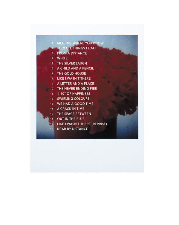 Eraldo Bernocchi : Like A Fire That Consumes All Before It (CD, Album)