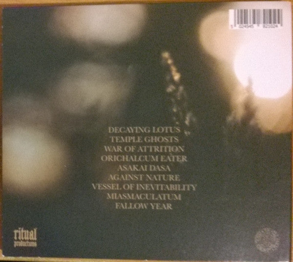 Ancient Lights : Ancient Lights (CD, Album, Dig)