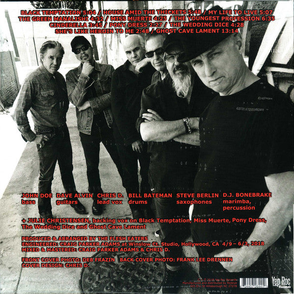 The Flesh Eaters : I Used To Be Pretty (2xLP, Album)