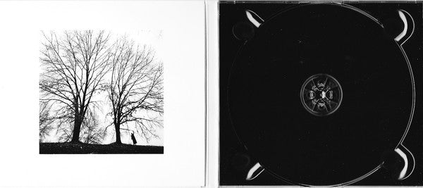 Trixie Whitley : Porta Bohemica (CD, Album)