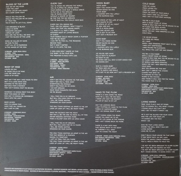 Liz Brasher : Painted Image (LP, Album)