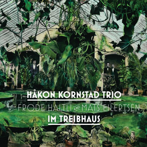 Kornstad Trio : Im Treibhaus (CD, Album)