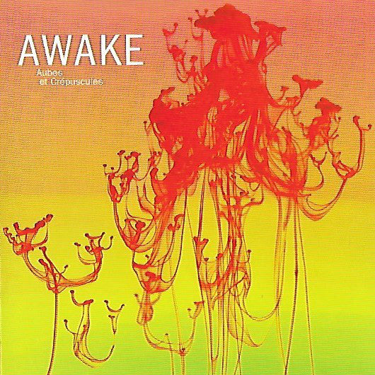 Awake (19) : Aubes Et Crépuscules (CD, Album)