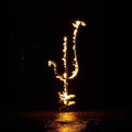 Demon Head : Hellfire Ocean Void (CD, Album, Dig)