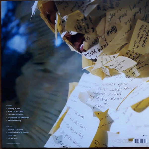 The Pineapple Thief : Someone Here Is Missing (LP, Album, RM, RP)