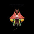 Tony Buck & Massimo Pupillo : Unseen (CD, Album)