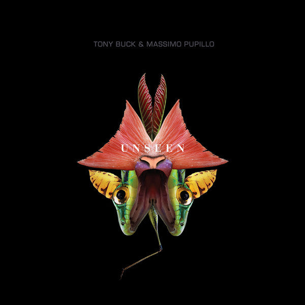 Tony Buck & Massimo Pupillo : Unseen (CD, Album)