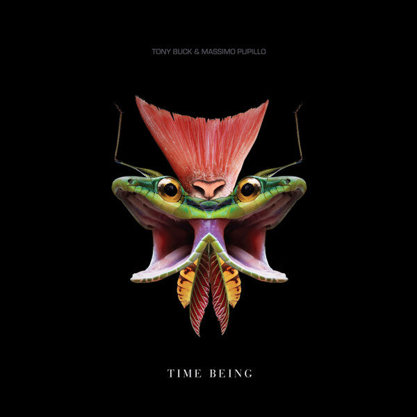 Tony Buck & Massimo Pupillo : Time Being (LP, Album)
