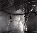Vile Creature : Preservation Rituals (2015 - 2018) (2xCD, Comp, Ltd)