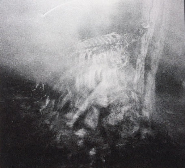 Vile Creature : Preservation Rituals (2015 - 2018) (2xCD, Comp, Ltd)