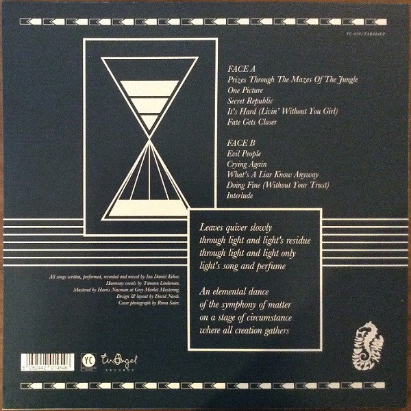 Ian Kehoe : Secret Republic (LP, Album)
