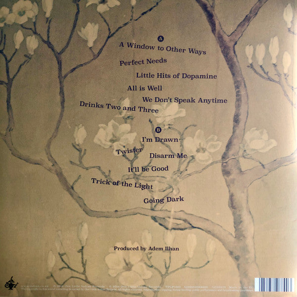 Marry Waterson & Emily Barker : A Window To Other Ways (LP, Album)