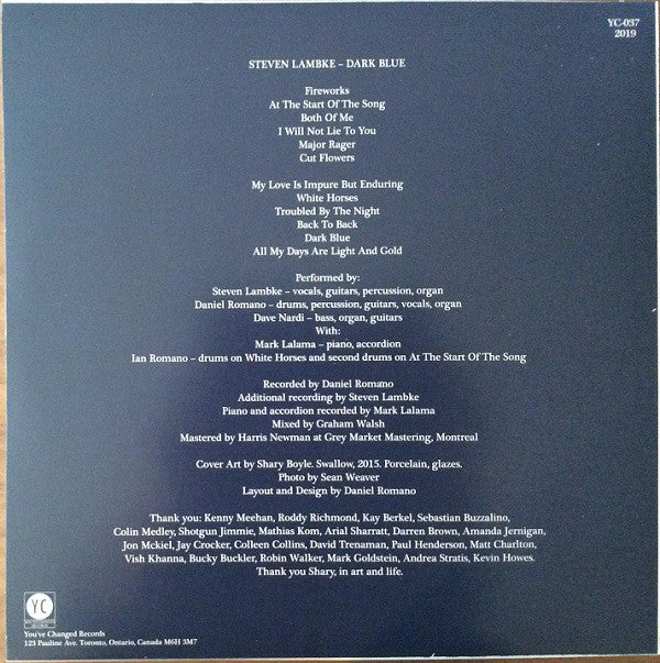 Steve Lambke : Dark Blue (LP, Album)