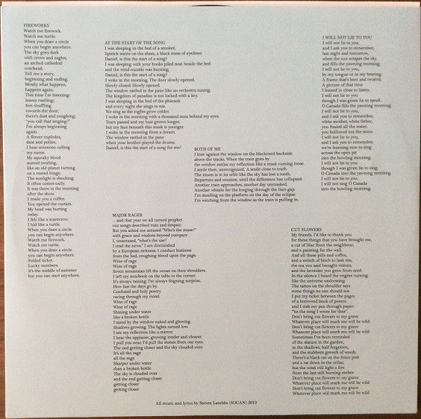 Steve Lambke : Dark Blue (LP, Album)