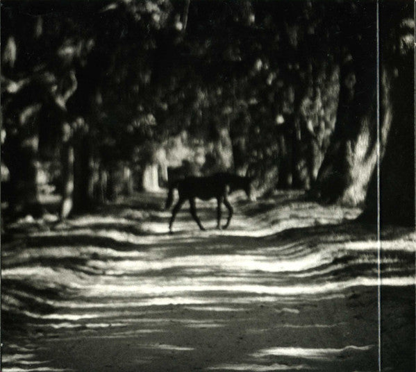 Neilson Hubbard : Cumberland Island (CD, Album)