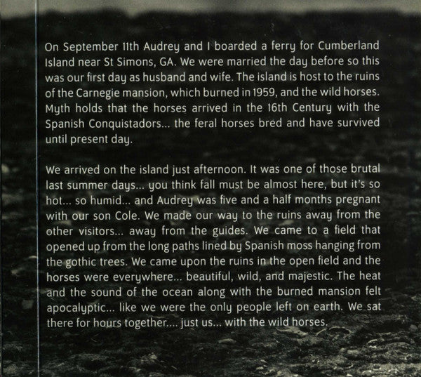 Neilson Hubbard : Cumberland Island (CD, Album)