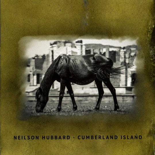 Neilson Hubbard : Cumberland Island (CD, Album)
