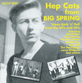 Various : Hep Cats From Big Spring - Texas Rock 'n' Roll From The 50's And 60's (CD, Comp)