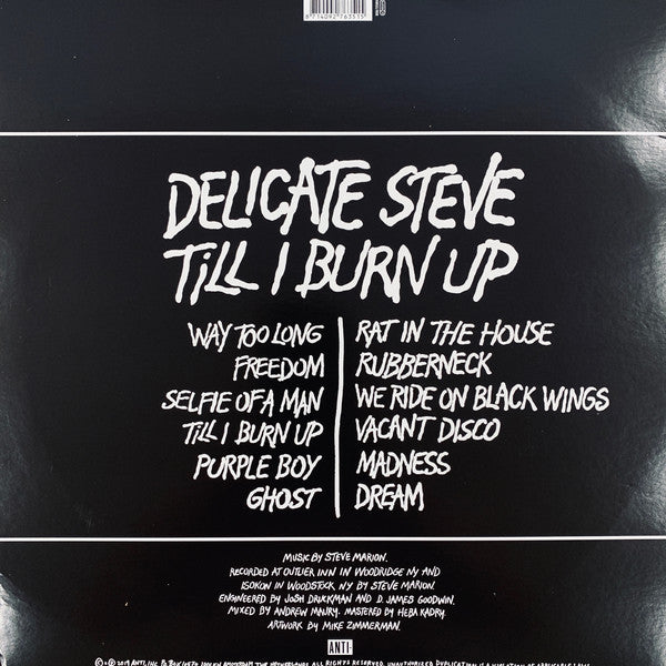 Delicate Steve : Till I Burn Up (LP)