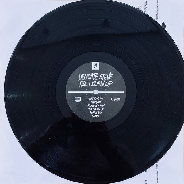 Delicate Steve : Till I Burn Up (LP)