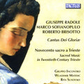 Giuseppe Radole, Marco Sofianopulo, Roberto Brisotto, Gruppo Incontro, Wladimir Matesic, Rita Susovsky : Cantus Dei Gloriae: Novocento Sacro A Trieste - Sacred Music In Twentieth-Century Trieste (CD, Album)