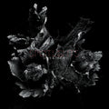 Spotlights (3) : Love & Decay (CD, Album)